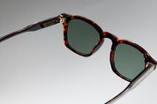 CHAPTER S - TORTOISE / G15