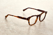 CHAPTER - TORTOISE GREEN