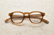 CHAPTER - CLEAR BROWN