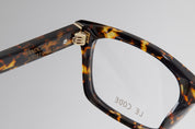 HARRY - TOKYO TORT